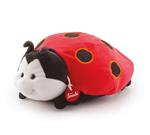 Coccinella Sofia M Trudi (23968)