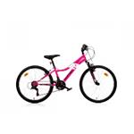 Bicicletta 24