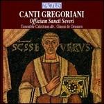 Canti Gregoriani: Liturgia Di S.Severo - CD Audio di Ensemble Calixtinus