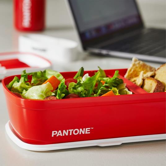 Pantone™ - Lunch Box, porta pranzo stile bento con divisorio interno.  Ideale per l'ufficio o la scuola. 12x7x20,7 - Grigio - Pantone - Idee  regalo