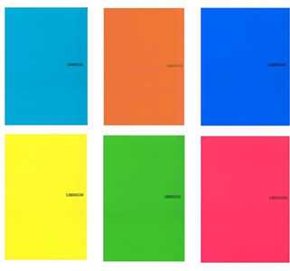 Cartoleria Quaderno Maxi A4 Libraccio in PPL Fantasie Assortite Quadretti grandi 5 mm Libraccio