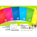 Quaderno punto metallico Maxi One Color PM PPL 80 gr rigatura 5M 20ff+1 colori assortiti - 5571