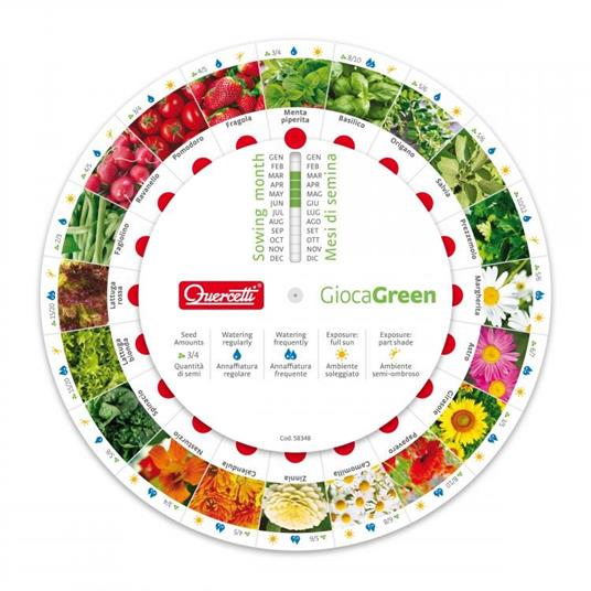 Gioca Green Ortaggi. Quercetti (0681) - 4