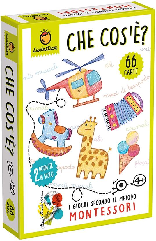 Che cos'è? Carte Montessori. Giochi di carte