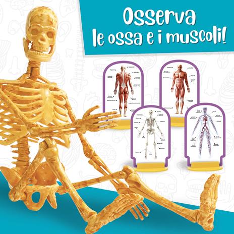 I'm a Genius Scienza Pocket Scopri Il Corpo Umano - 3