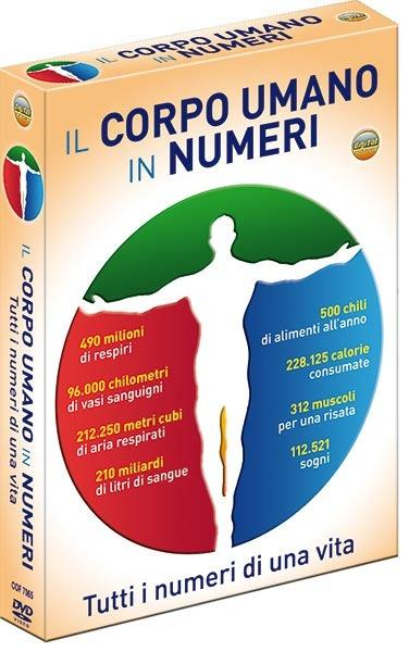 Il corpo umano in numeri (2 DVD) - DVD