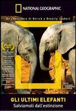 Gli ultimi elefanti (DVD)