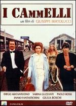 I cammelli (DVD)