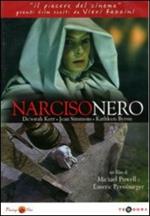 Narciso nero