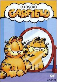 Ciao sono Garfield di Tom Tataranowicz - DVD