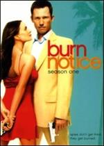 Burn Notice. Stagione 1 (4 DVD)