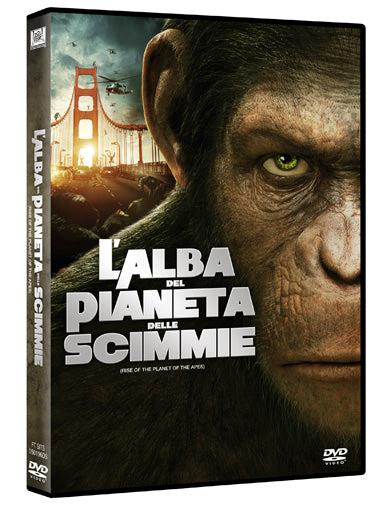 Isola dei Collezionisti