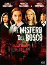 Il mistero del bosco