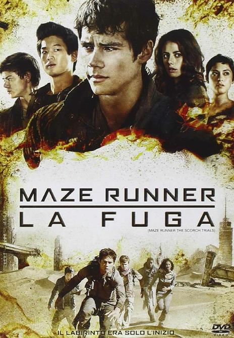 Maze Runner. La fuga di Wes Ball - DVD