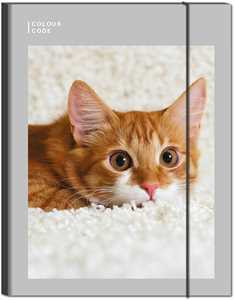 Cartoleria Cartelletta con elastico Color Code Animal Snapshot Color Code