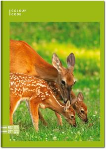 Cartoleria Quaderno Maxi A4 Color Code Animals Freedom 100 gr Quadretti grandi 5 mm Color Code