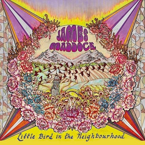Little Bird In The Neighbourhood - CD Audio di James Maddock