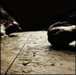 Cm 12x12 - CD Audio di Einfalt