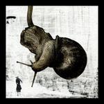 Il drago è astratto - CD Audio di Quilibrì