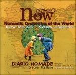 Diario Nomade - CD Audio di Nuove Tribù Zulu
