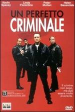 Un perfetto criminale