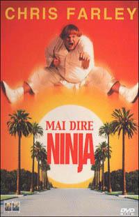 Mai dire ninja di Dennis Dugan - DVD