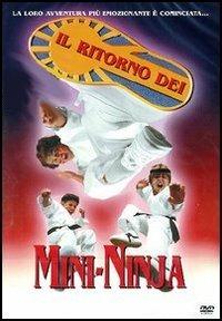 Il ritorno dei Mini-Ninja di Simon S. Sheen - DVD