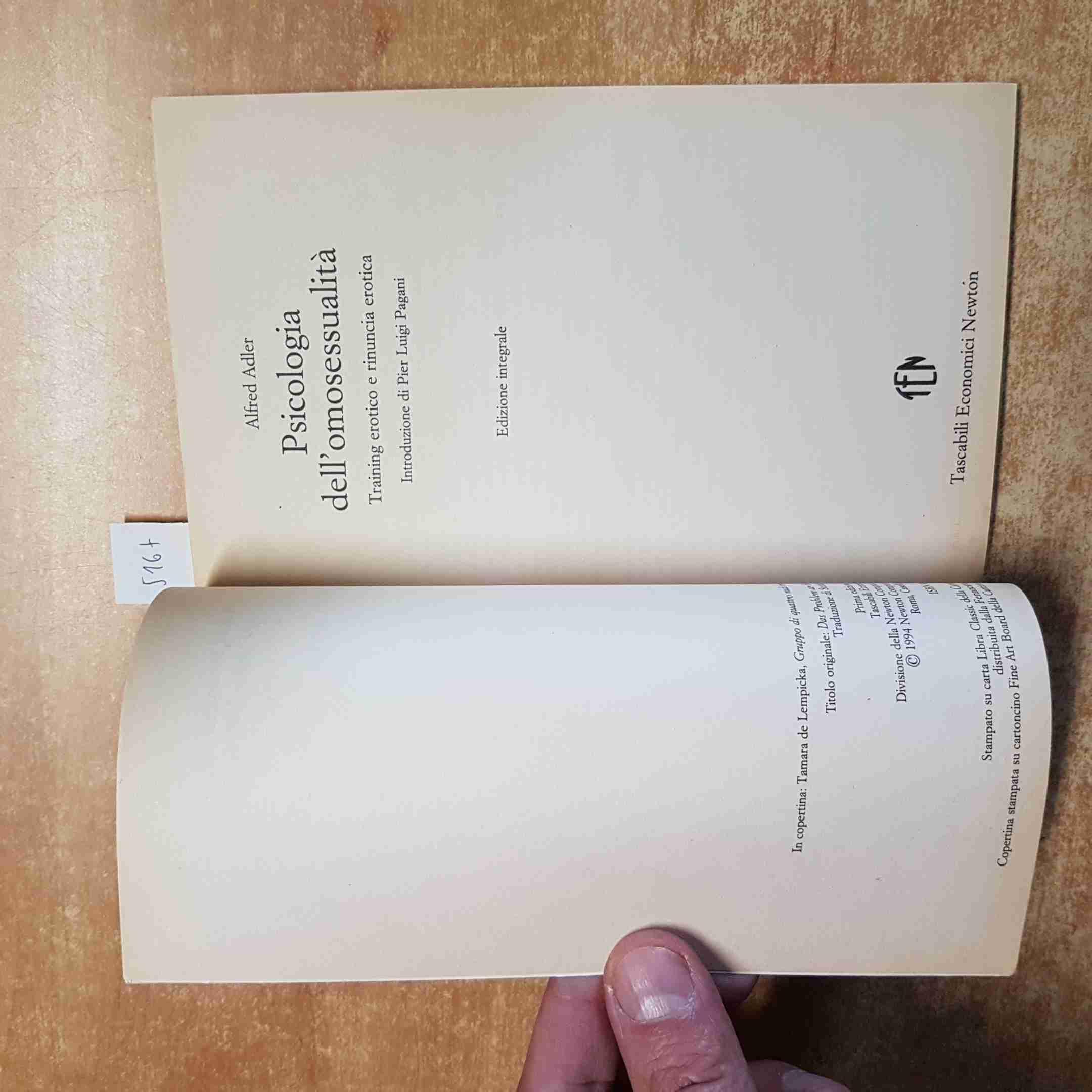 Il vagabondo