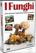 I funghi