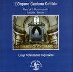 L'organo Gaetano Callido 1797-1799 (Digipack) - CD Audio