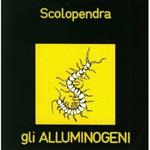 Scolopendra