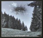 In the Stillness of the Codrii - CD Audio di Basarabian Hills