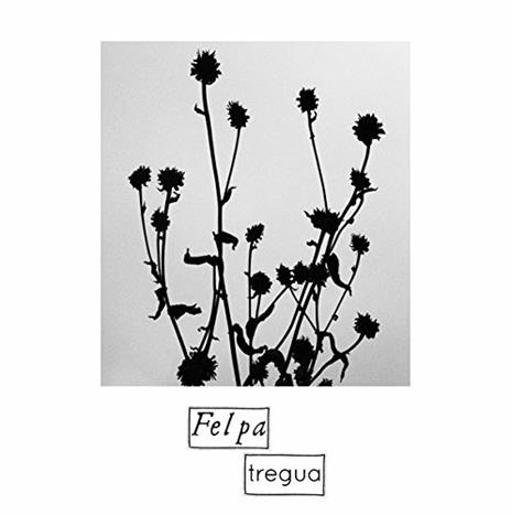 Tregua - CD Audio di Felpa