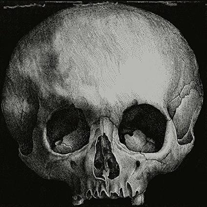 Stoned.Immaculate - Vinile LP di Kint