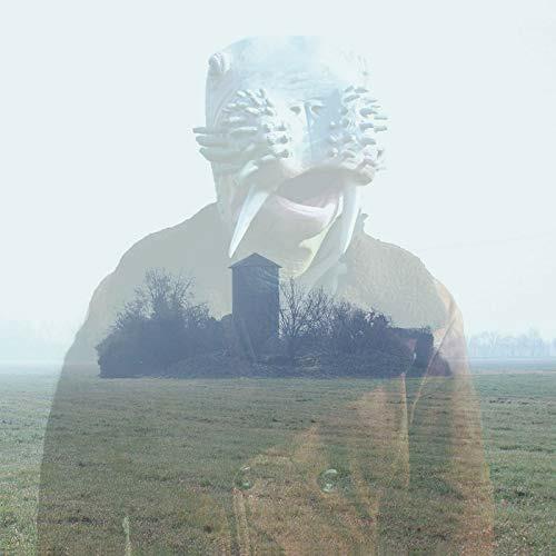 Ancient Gentle Tower - Vinile LP di Chow