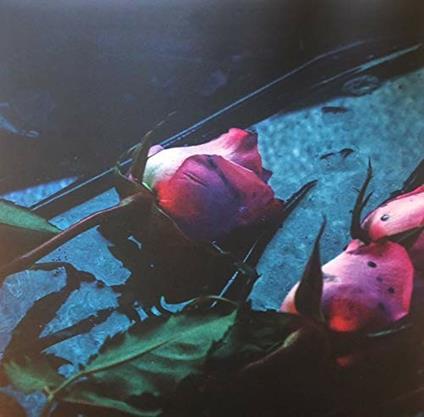 Wake - Vinile LP di Skeleton Hands