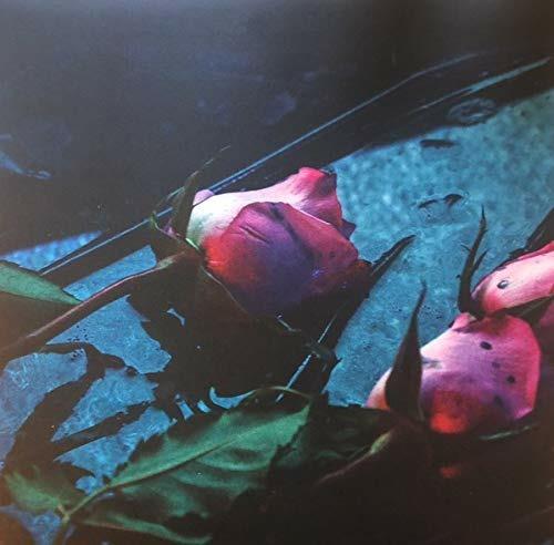 Wake - Vinile LP di Skeleton Hands