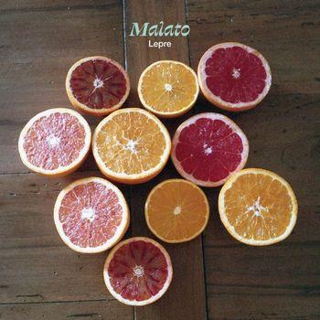 Malato - Vinile LP di Lepre