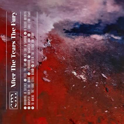 After The Tears The Fury - CD Audio di Closed Mouth