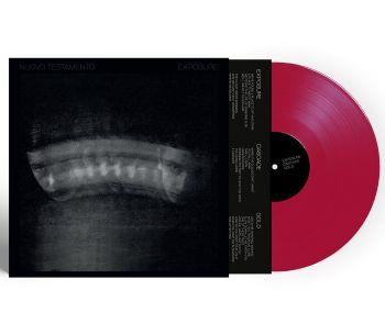 Exposure - Pink-Purple - Vinile LP di Nuovo Testamento