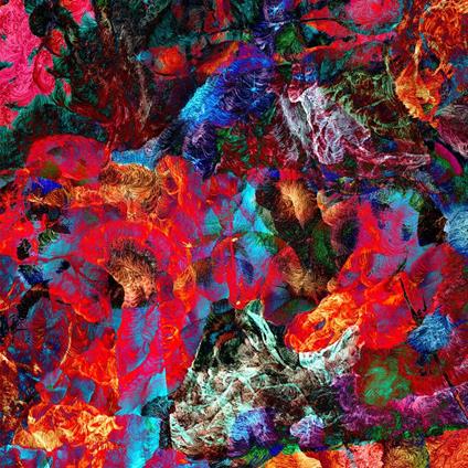 Aves Raras - Vinile LP di San Leo