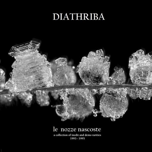 Le Nozze Nascoste - CD Audio di Diathriba