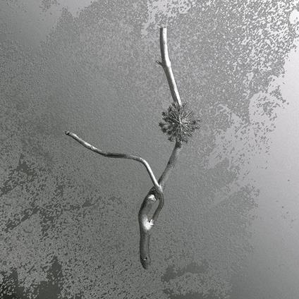 La Maccaia - Vinile LP di Gaia Banfi