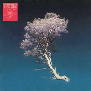 Vinile Rifiorirai Aka5ha