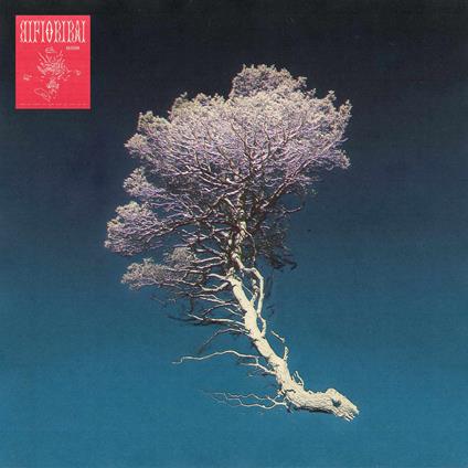 Rifiorirai - Vinile LP di Aka5ha