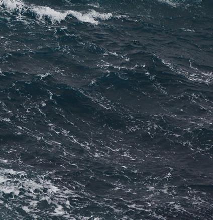 French Police - Vinile LP di French Police