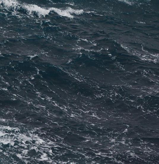 French Police - Vinile LP di French Police