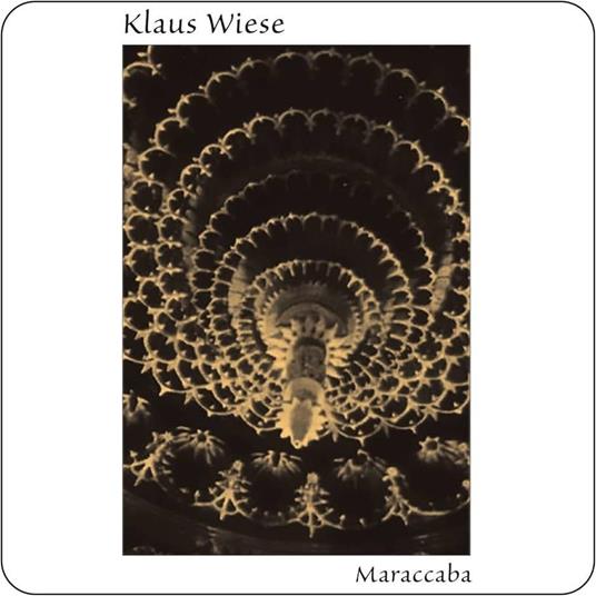 La danza dell'angelo - CD Audio di Roberto Cosimi