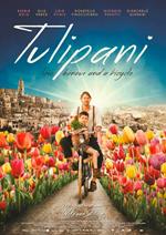 Tulipani (DVD)