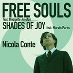 Free Souls-Shades Of Joy
